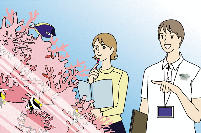 AWAREサンゴ礁の保護