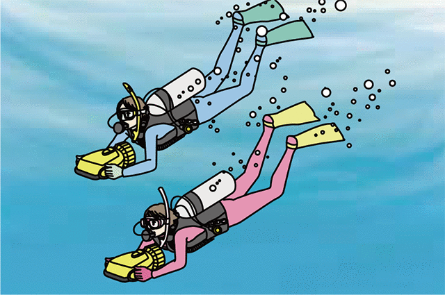 ダイバープロビジョンビーグル