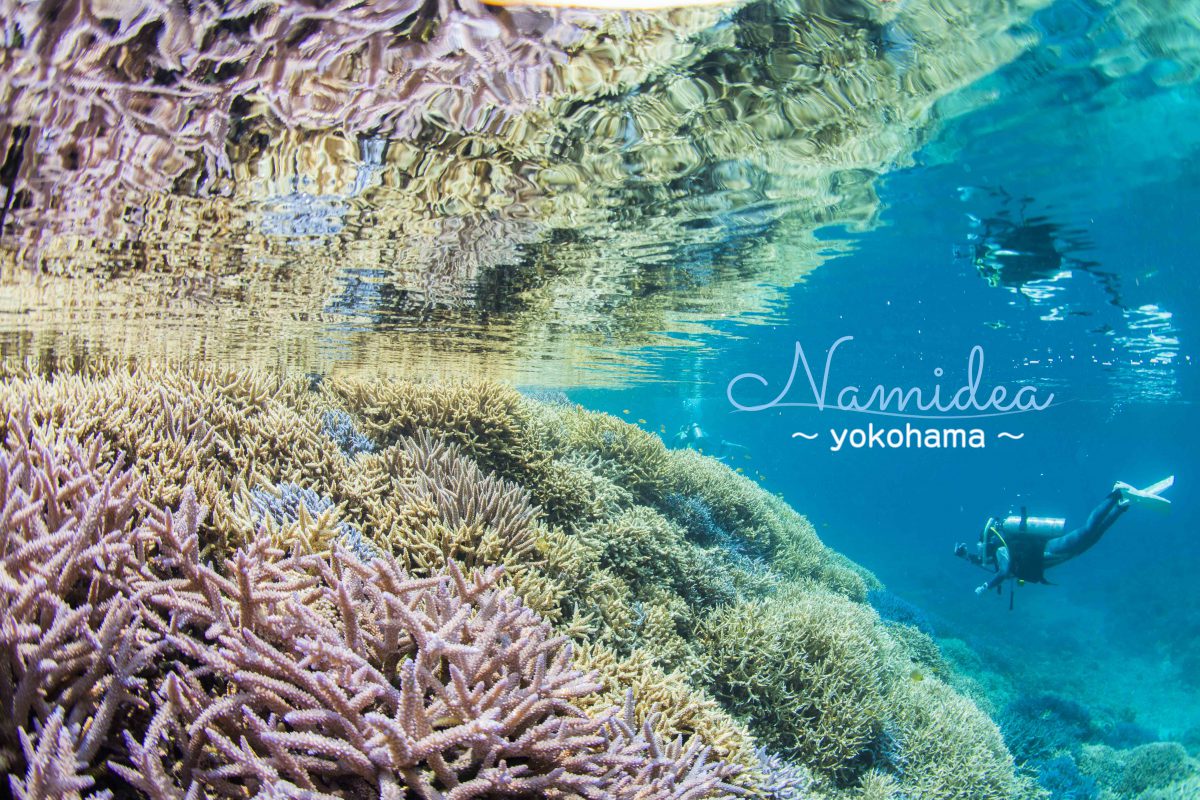 沖縄 西表島ダイビングツアー