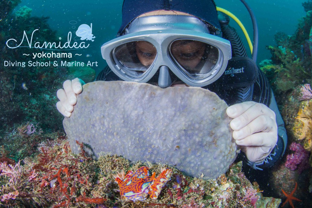 幸せそうに観察