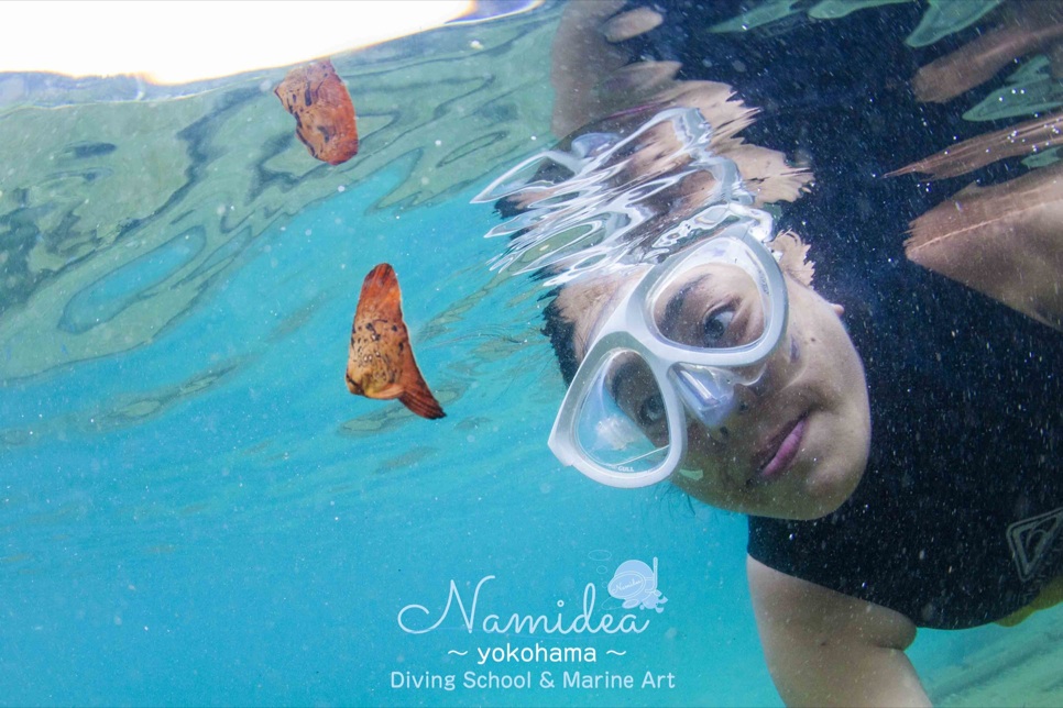 ツバメウオを捜索