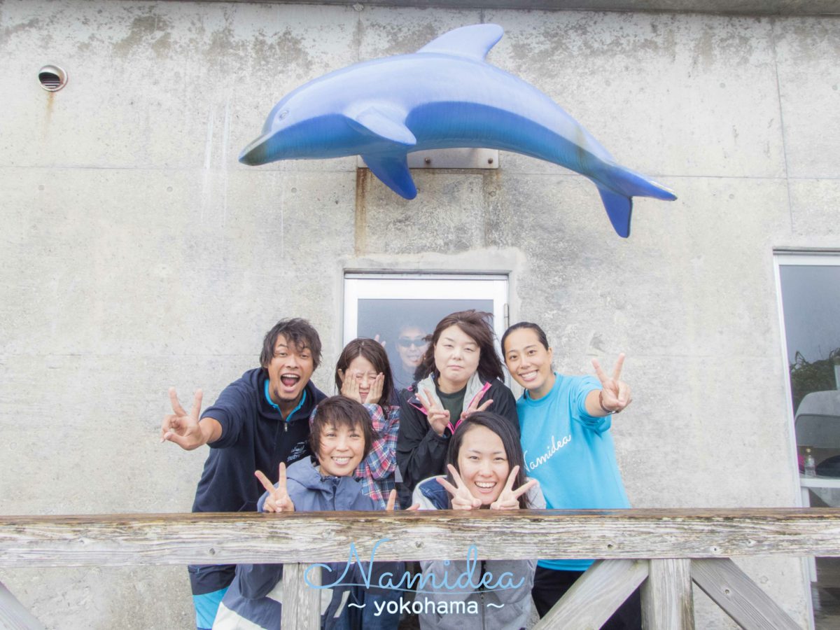 利島へドルフィンスイムツアー
