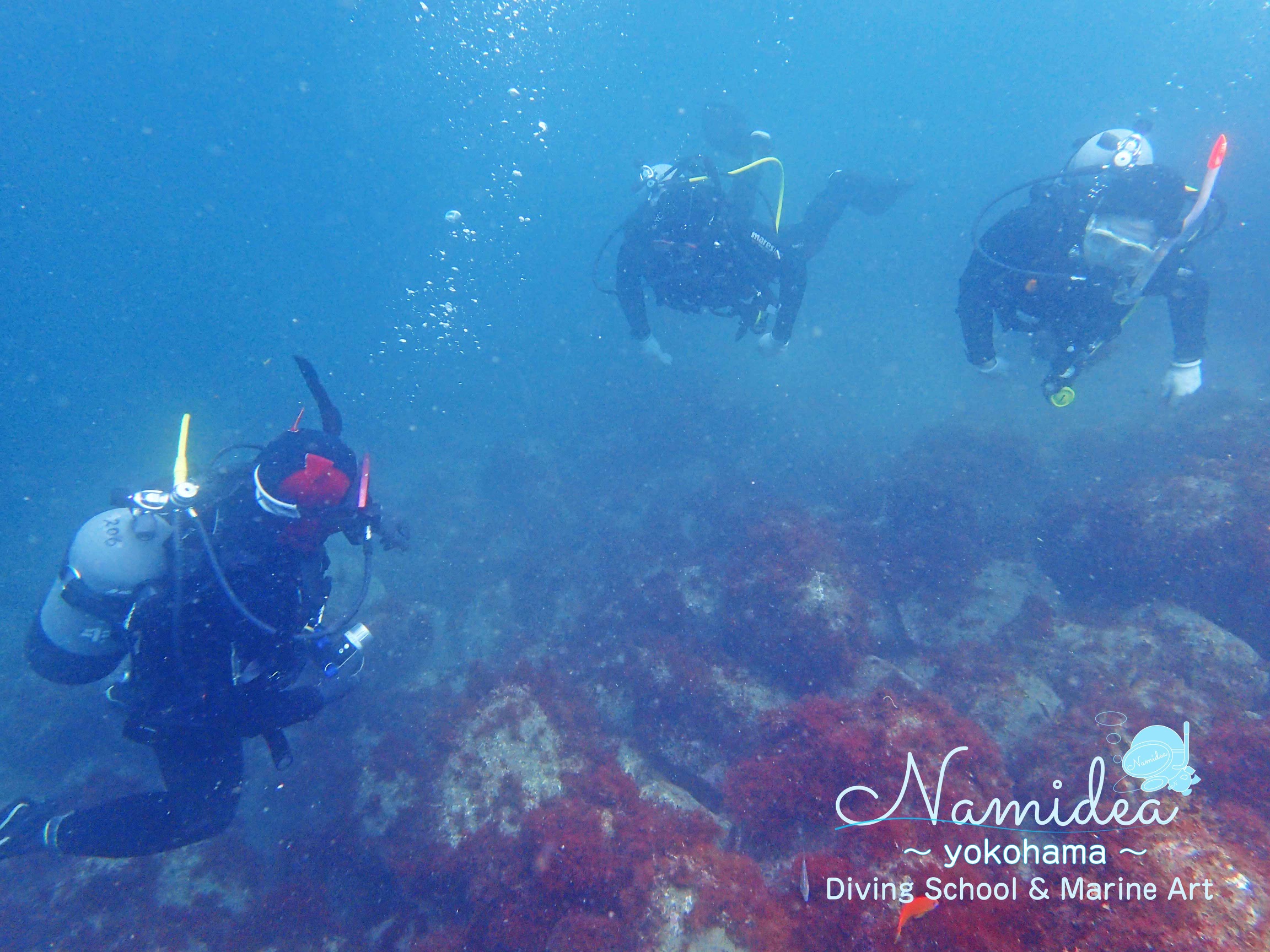 井田ファンダイビング