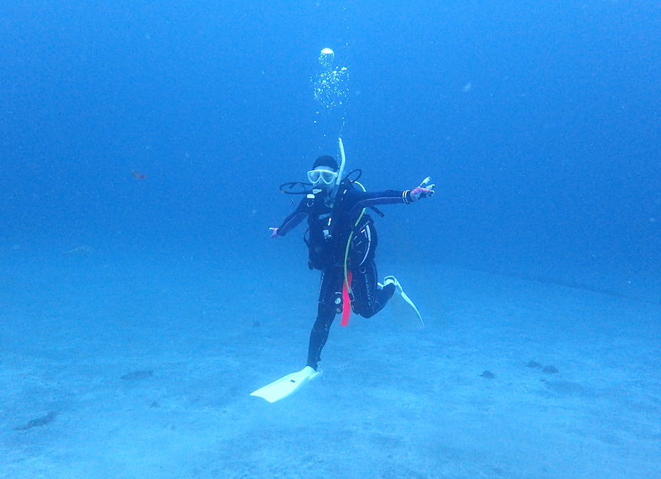 Namidea Yokohama 海