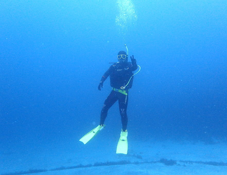 Namidea Yokohama 海