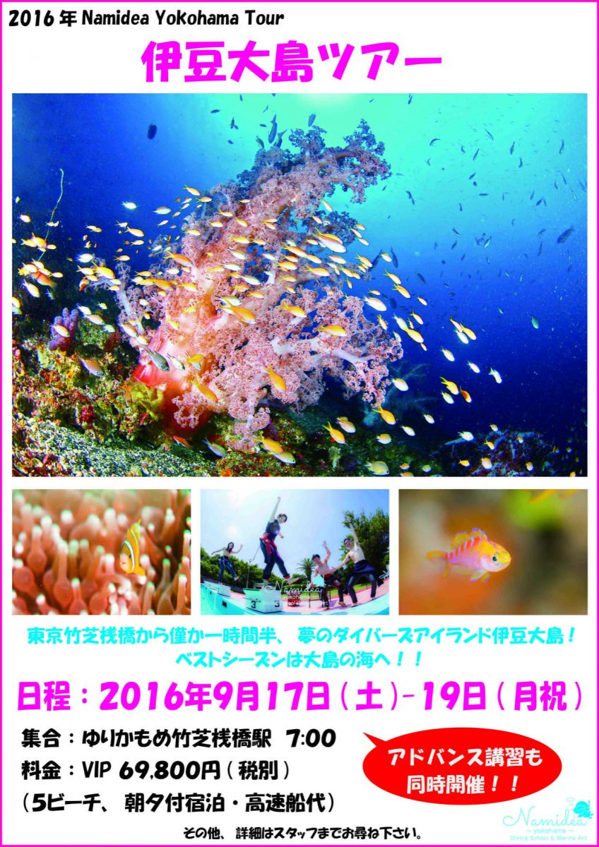大人気の大島ダイビングツアー開催