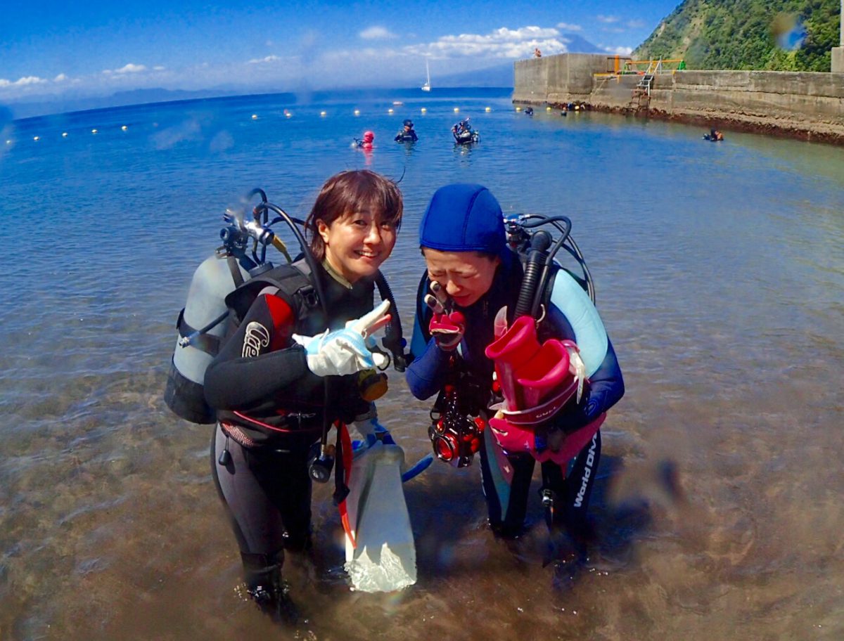 ベタ凪の井田の海と季節来遊魚 見どころ満載の海はやっぱり面白い 横浜のスキューバダイビングショップ Namidea ナミディア