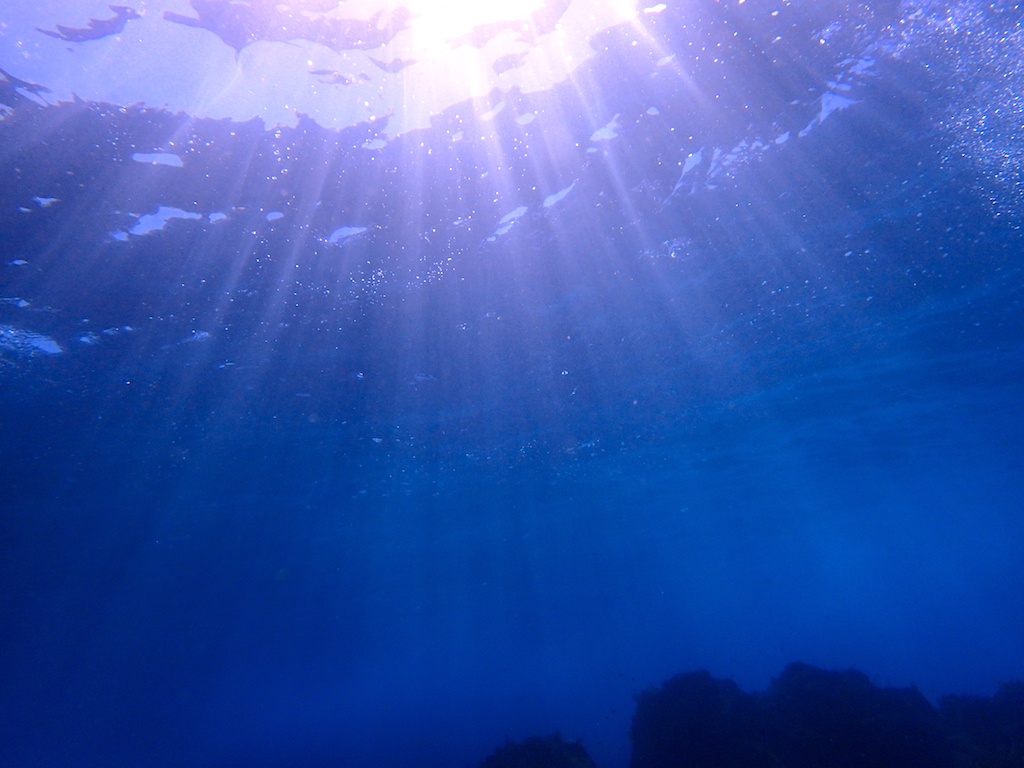 青い海