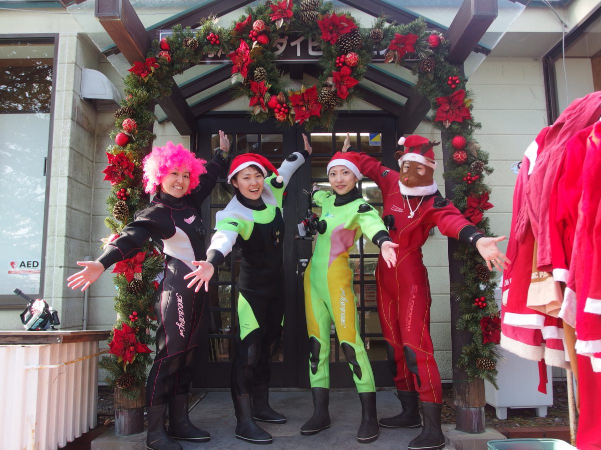 クリスマスダイビングツアー