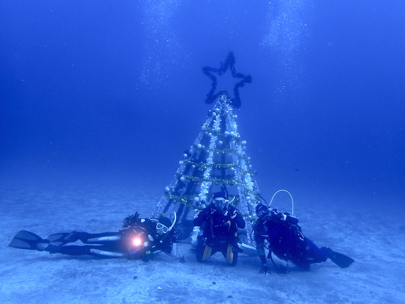 IOP(伊豆海洋公園)の海中クリスマスツリー