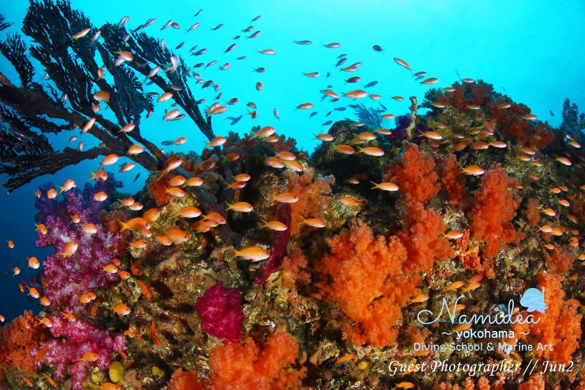 冬の名物でもある熱海ボート