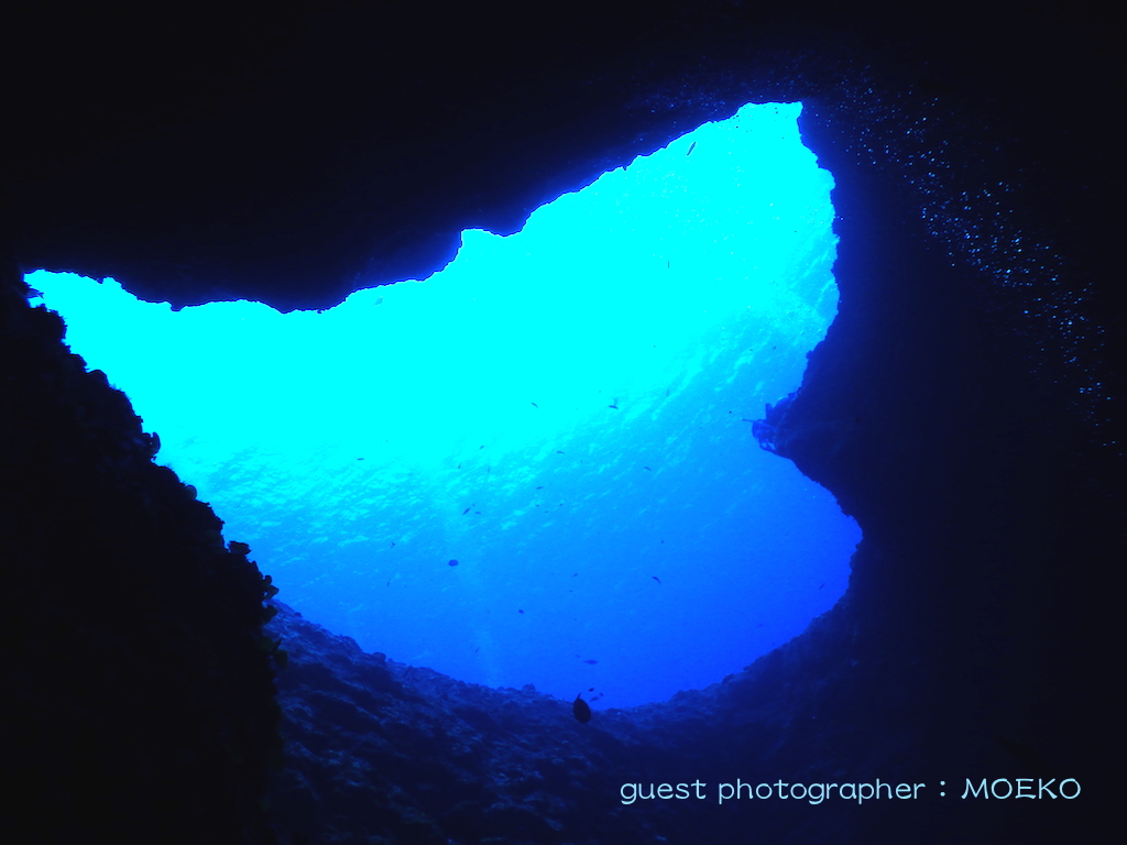 人それぞれ見え方も違って見える