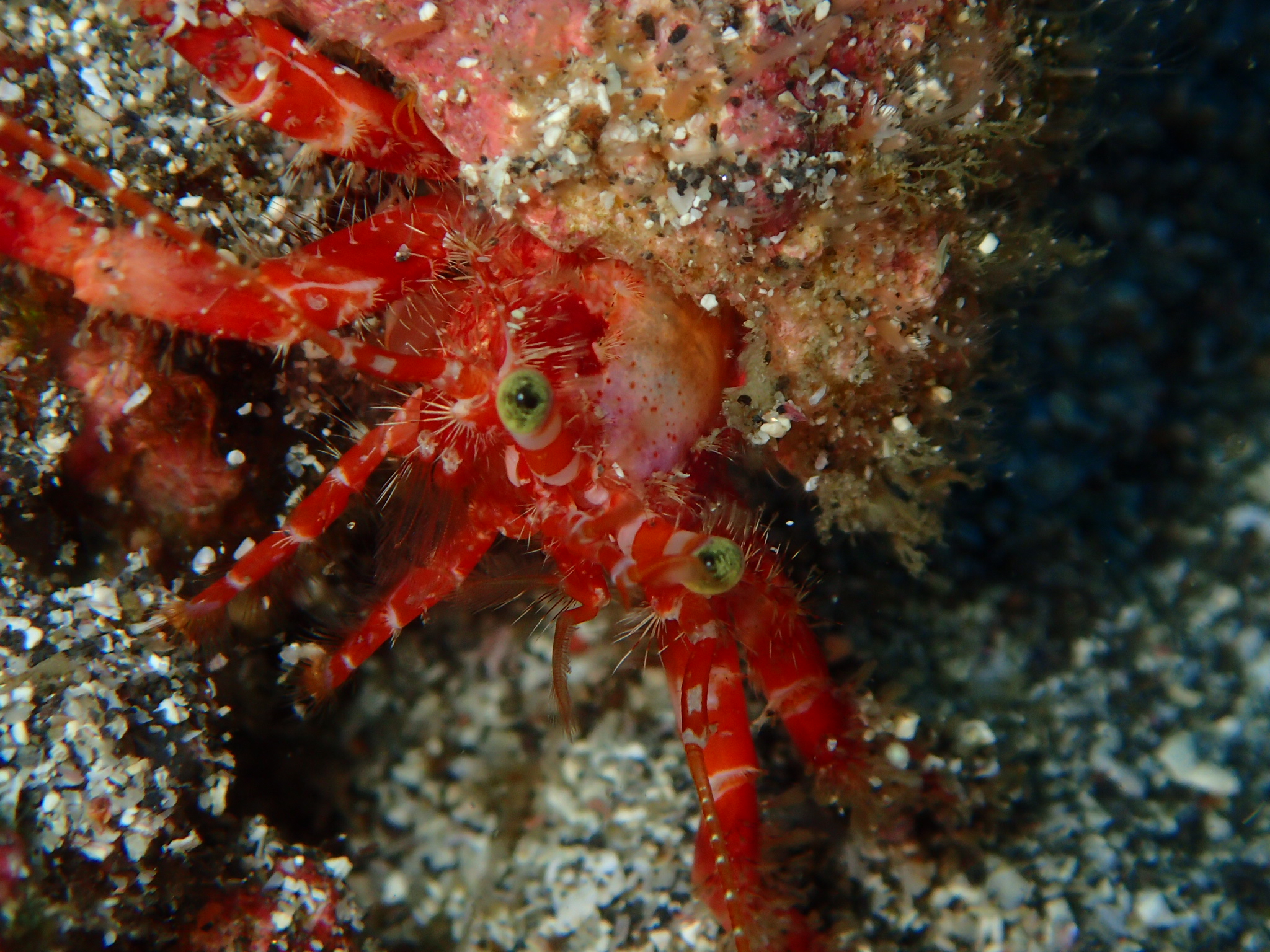 Namidea Yokohama フォトツアー