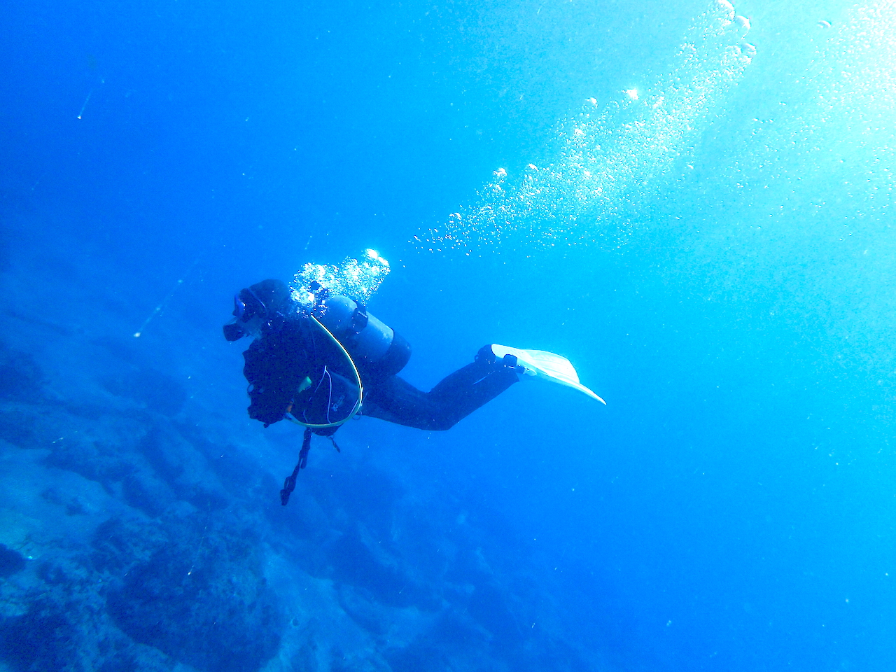 Namidea 平日ダイビング　青い海