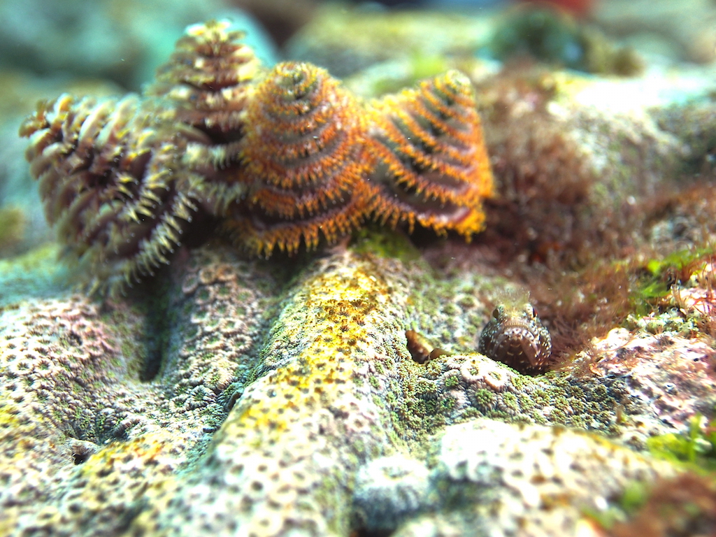 Namidea Yokohama 秋の浜