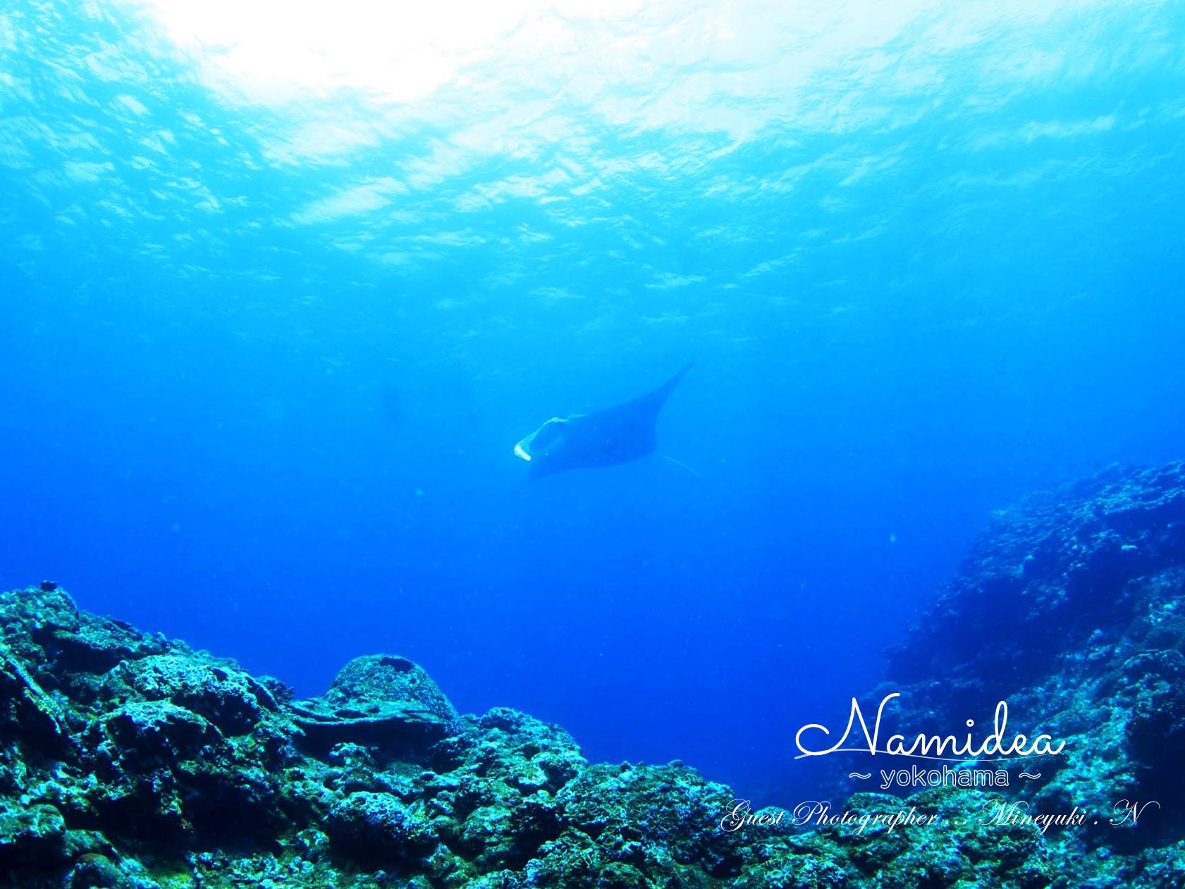 石垣島ツアー マンタ