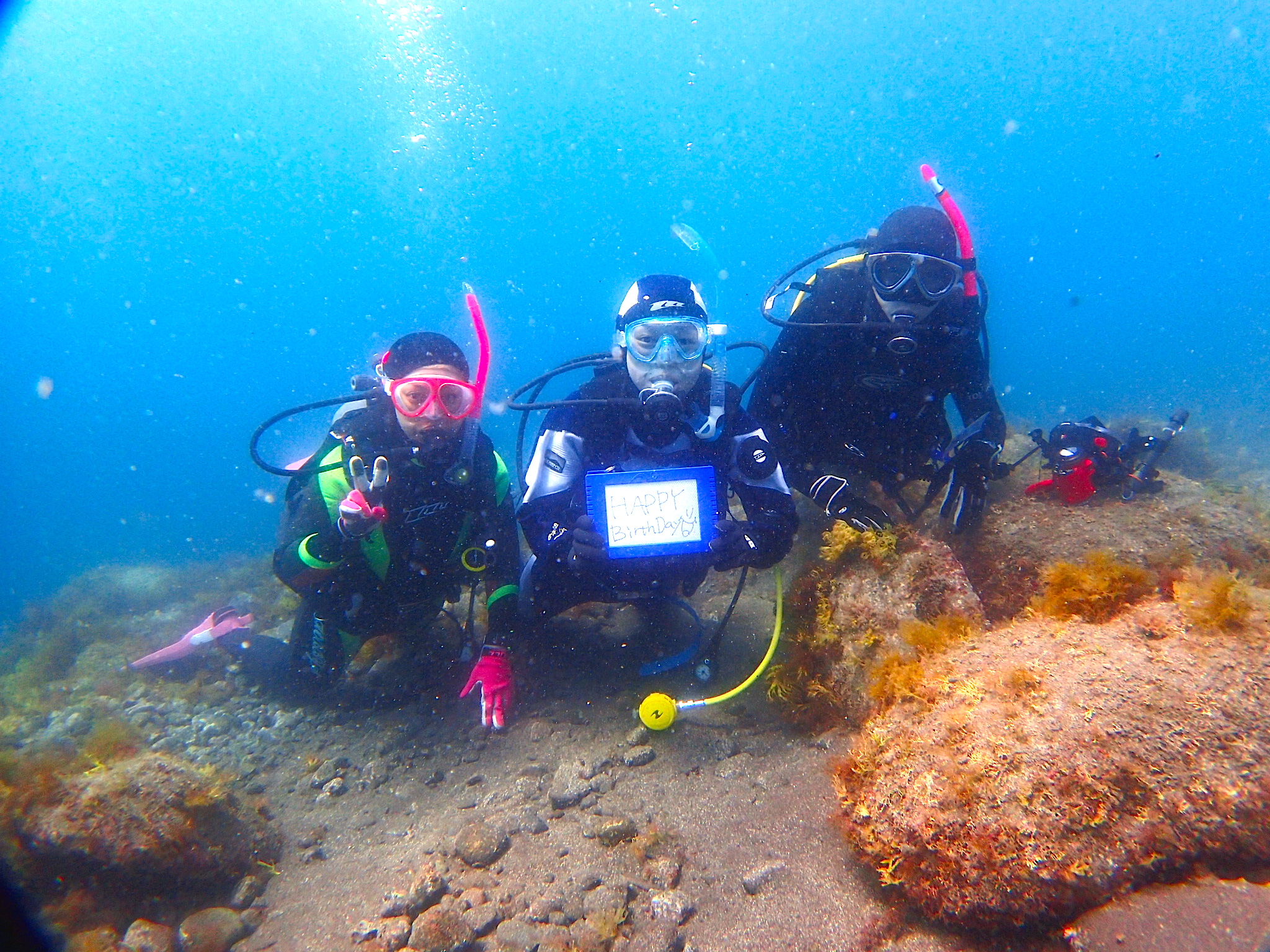 ナミディア バースデーダイブ 井田