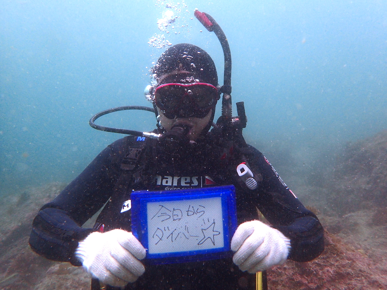 今日からダイバー