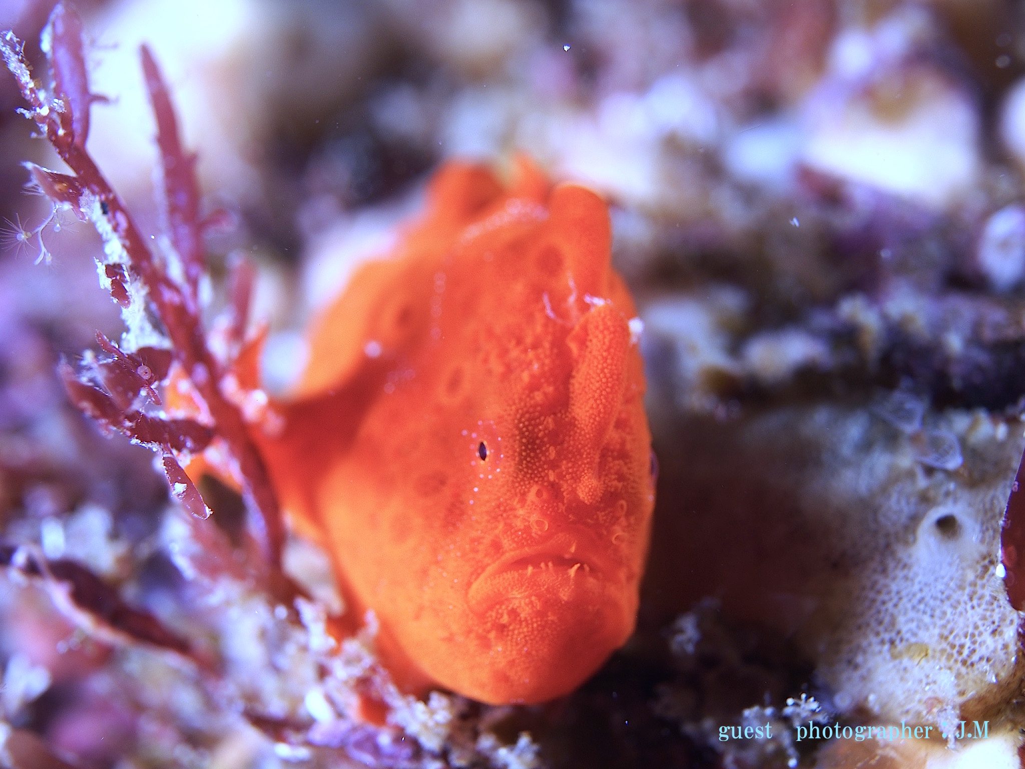 ナミディア 海洋公園 平日ツアー リクエストツアー