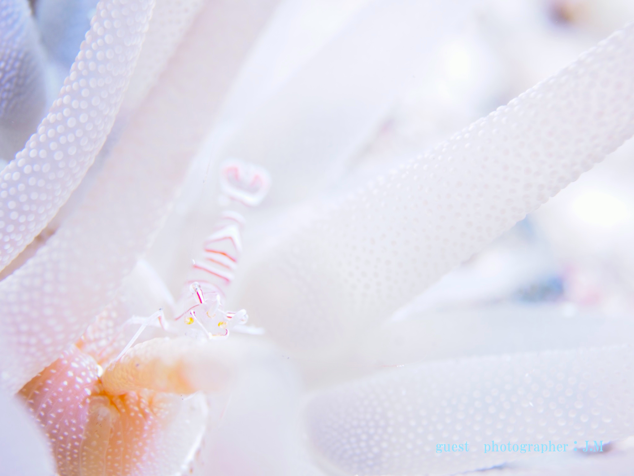 バルス 海洋公園