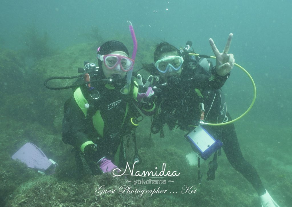 ライセンス講習