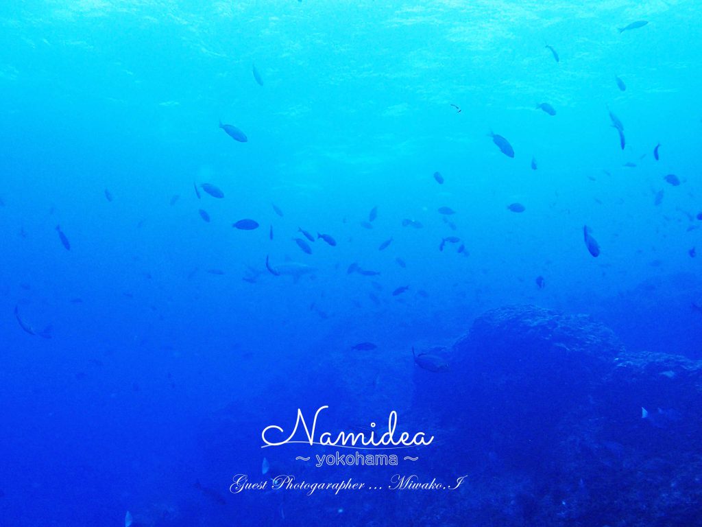 神子元ハンマーリバー