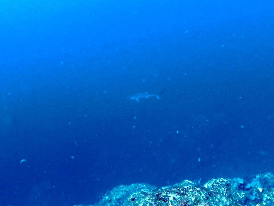 ハンマー