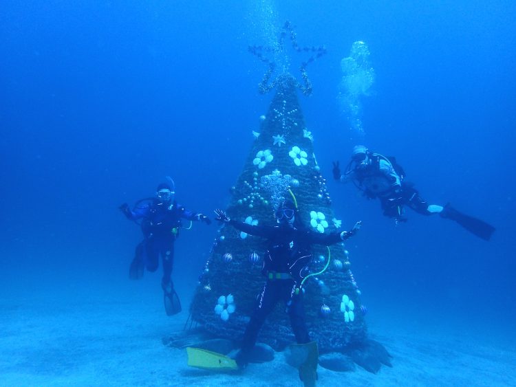 IOP（伊豆海洋公園）海中クリスマスツリー
