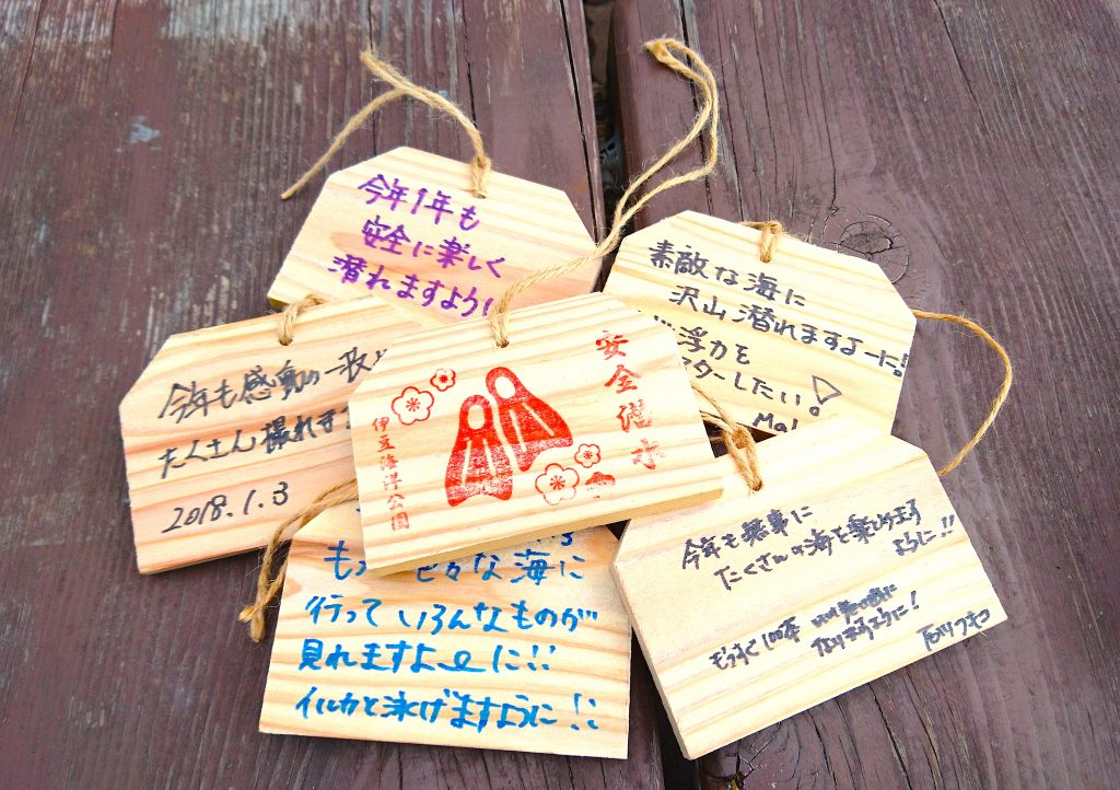 絵馬　伊豆海洋公園　初潜り