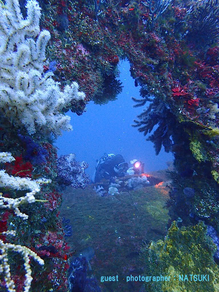 熱海ボート 沈船 小曽我洞窟