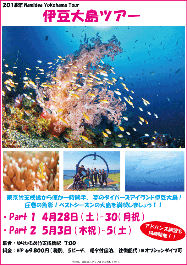 伊豆大島ツアー