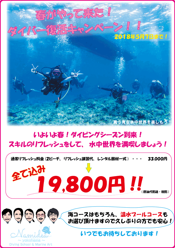 ダイバー復活キャンペーン