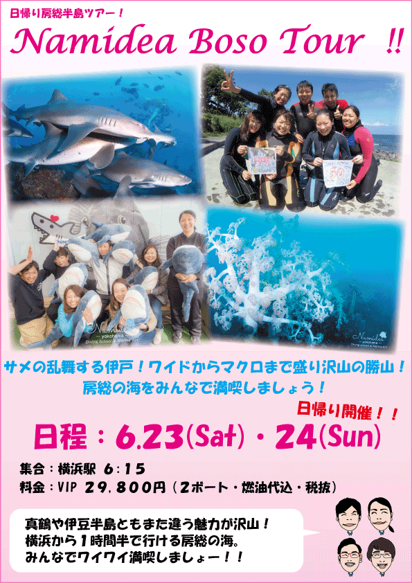 房総半島日帰りツアー