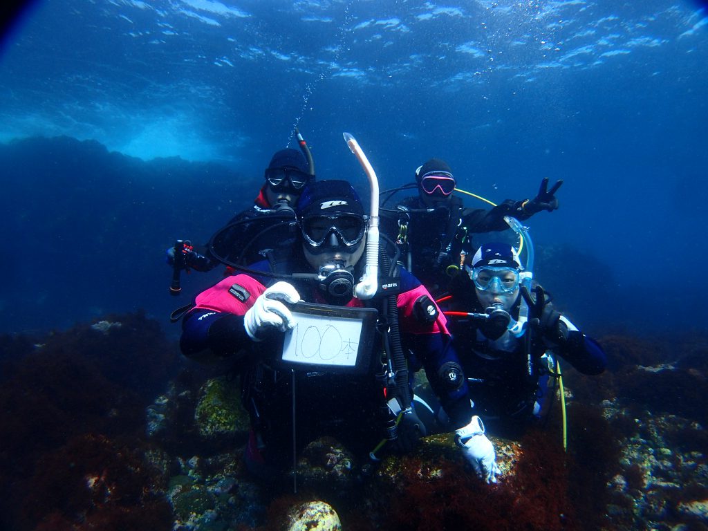 ダイビング100本記念