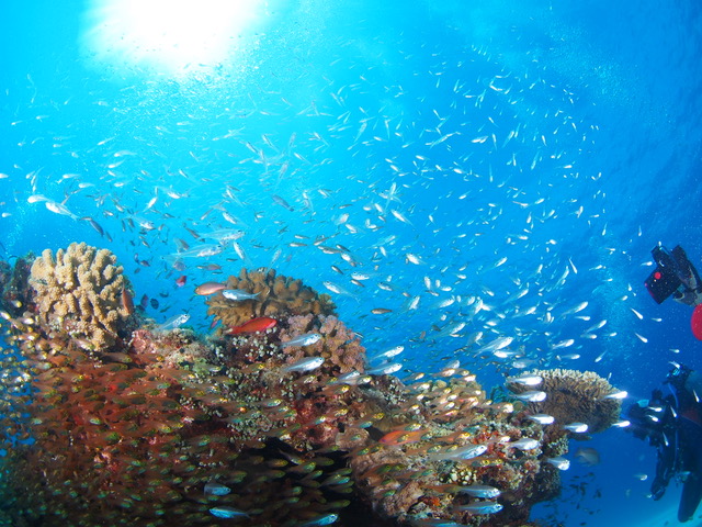 太陽の光と綺麗な海