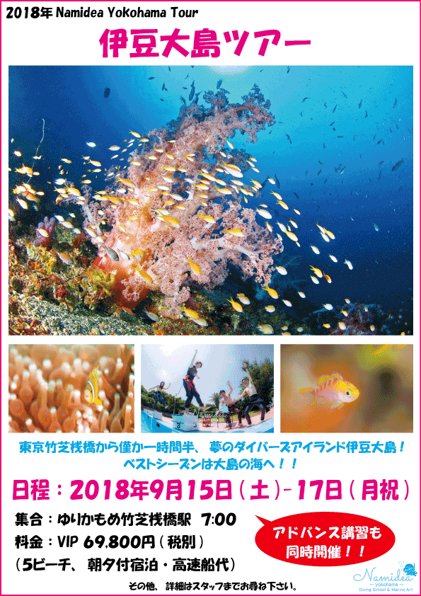 Namidea Yokohama 平日大島