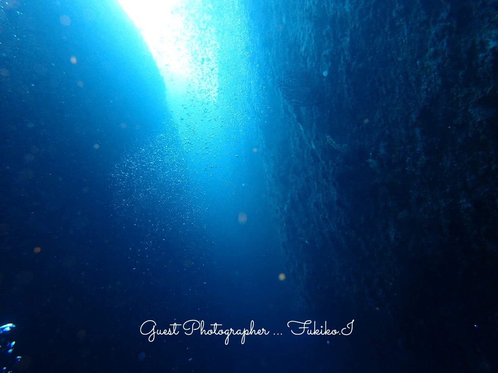 Namidea Yokohama 20188月最終週末