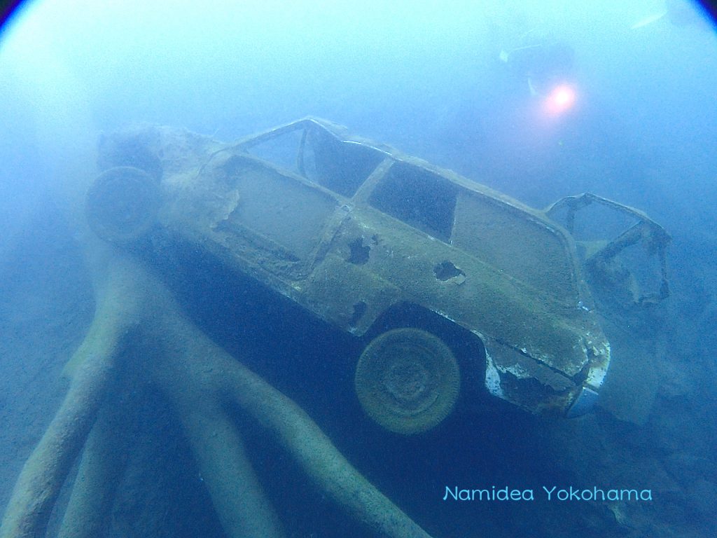 本栖湖沈木の林で見れる水中の車
