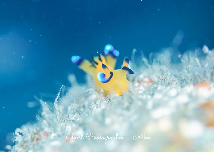 Namidea Yokohama 9月スタート！