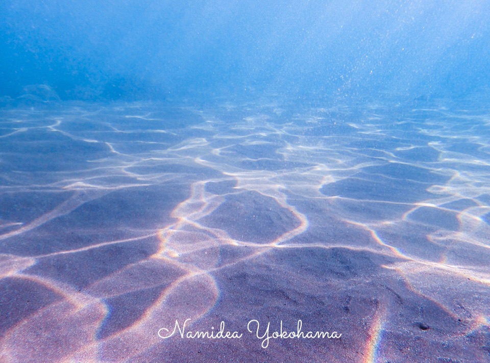 Namidea 井田ツアー&レスキュー!