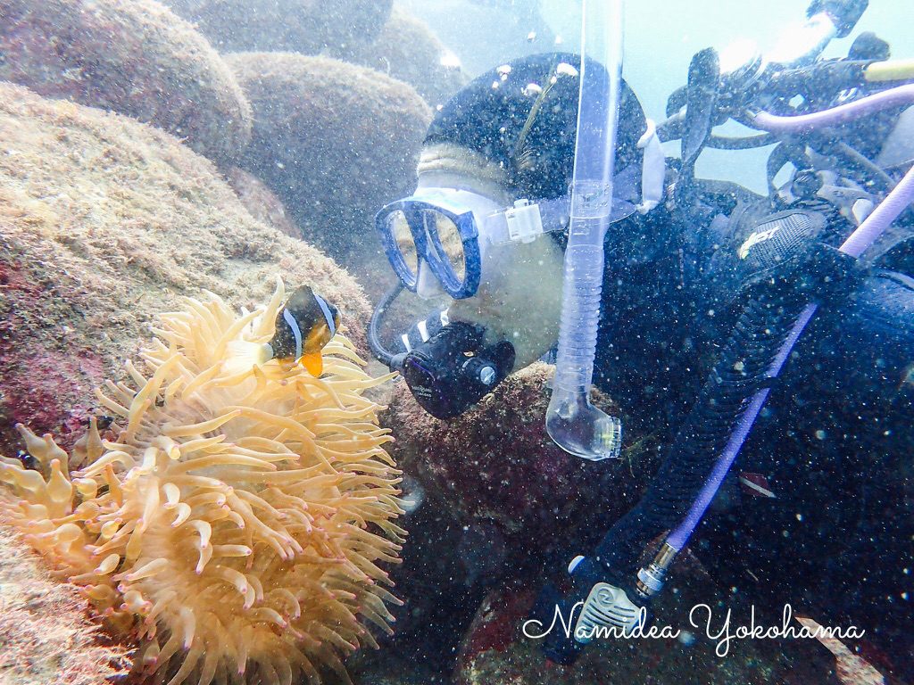 Namidea Yokohama OWダイバー誕生！