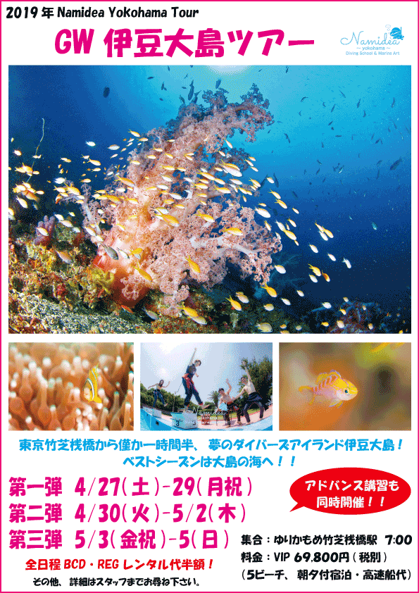 2019年GW大島ツアー!