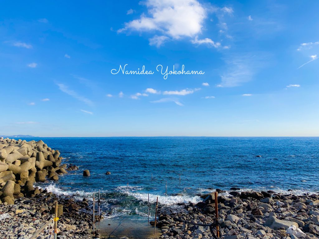 Namidea Yokohama クリスマス!