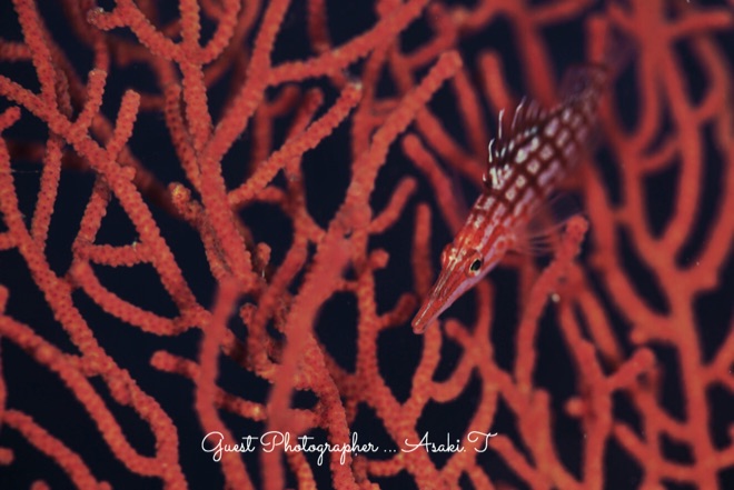 Namidea Yokohama 2018年越しツアー!