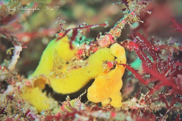 Namidea Yokohama 2018年越しツアー!