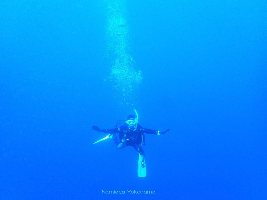 今日の伊豆海洋公園も青い海でした！