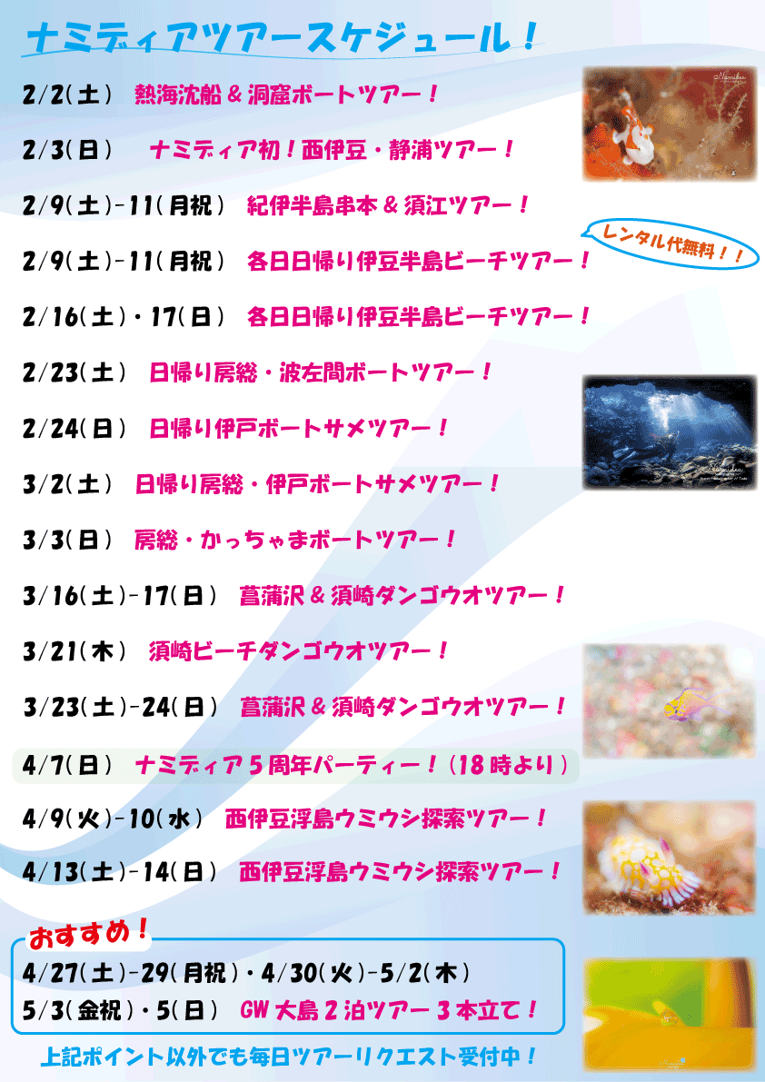 Namidea ツアースケジュール