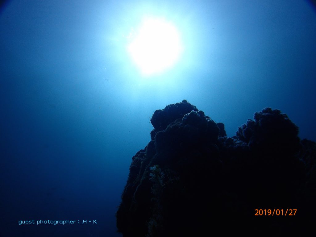 ナミディアかっちゃまツアー青い海