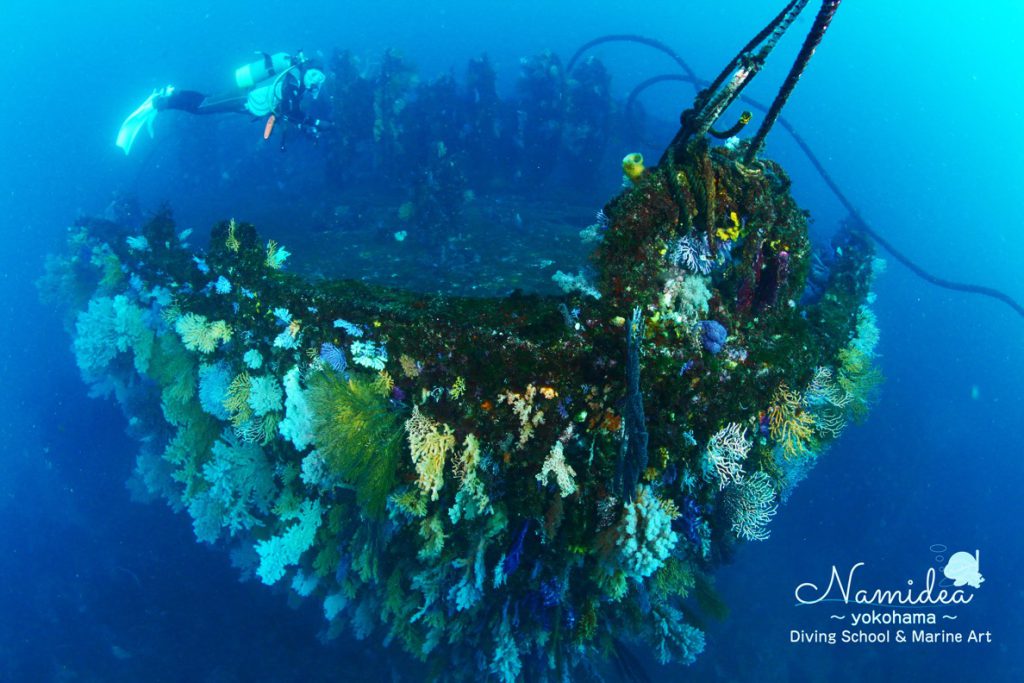 ナミディア 熱海の沈船は全長81メートル