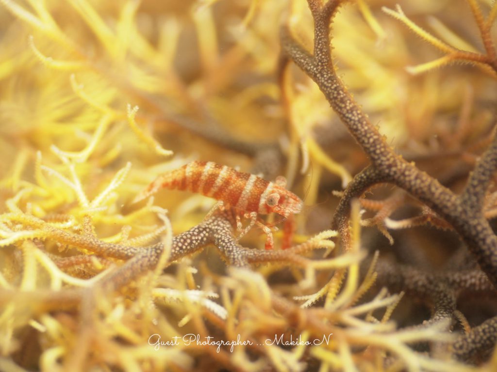 Namidea Yokohama 紀伊半島ツアー!